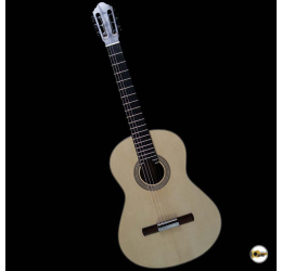 Alexis Parducci 2025 - Award-Winning Guitar 