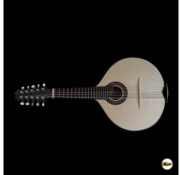 Junio Americo 10-String Mandolin | Brazil (code 327)