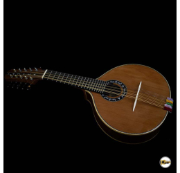 Pedro Santos 10-String Mandolin | Brazil (code 348)