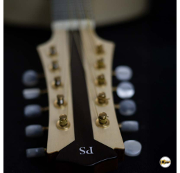 Pedro Santos 10-String Mandolin | Brazil (code 356)